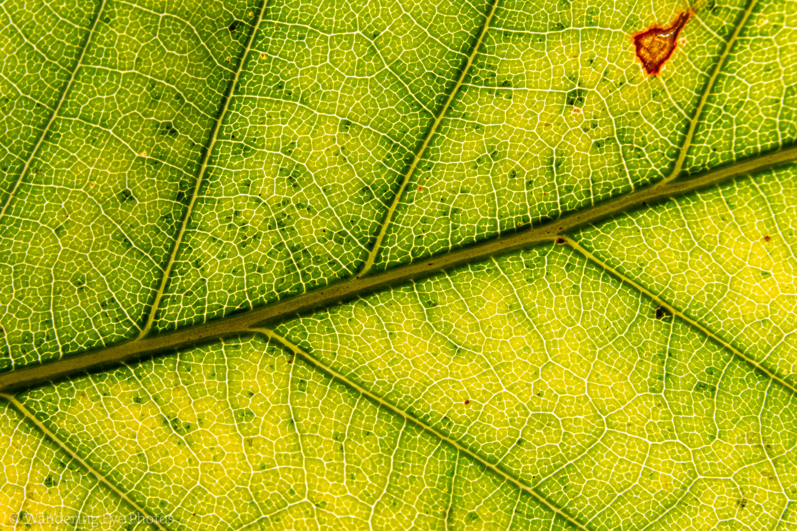 11.15 18.14.31   DSC05845